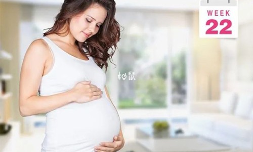月经期间可以吃冰糖煮梨吗网—知名的姨妈期能吃冰糖炖雪梨吗网站,分享经期能吃冰糖炖雪梨吗知识