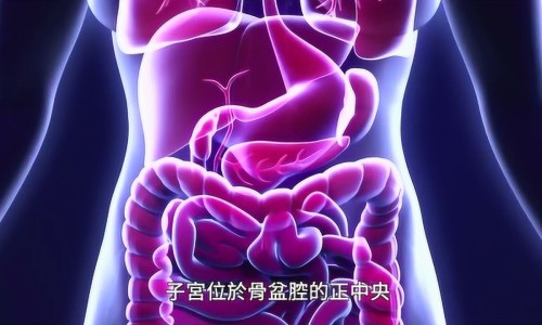 月经期间可以吃冰糖煮梨吗网—知名的姨妈期能吃冰糖炖雪梨吗网站,分享经期能吃冰糖炖雪梨吗知识